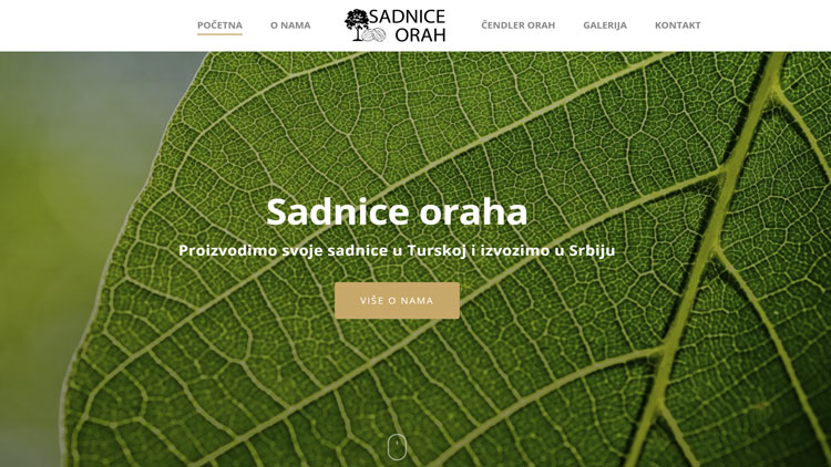 Sadnnice Oraha